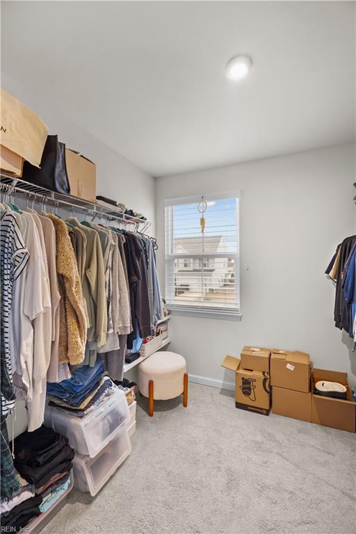 spacious closet featuring carpet flooring