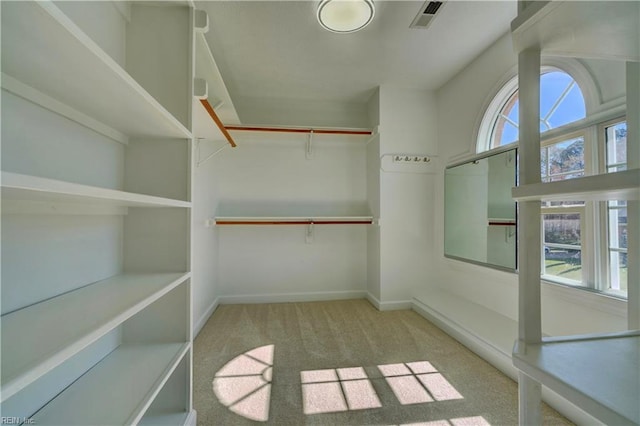 spacious closet with visible vents and carpet flooring