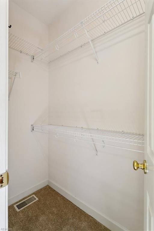 walk in closet with visible vents and carpet floors