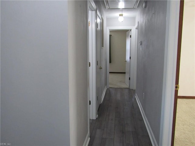 hall featuring baseboards, attic access, and dark wood-style flooring