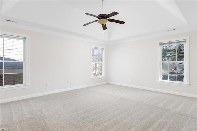 spare room with a healthy amount of sunlight, a raised ceiling, and carpet