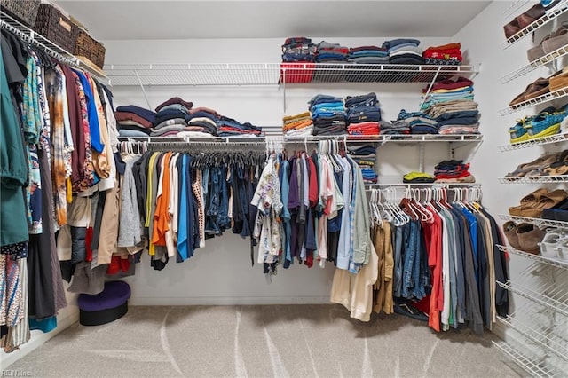 spacious closet featuring carpet