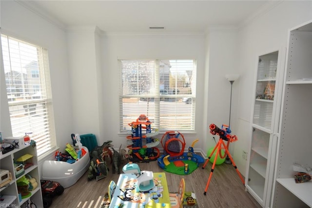 recreation room with a healthy amount of sunlight, wood finished floors, and crown molding