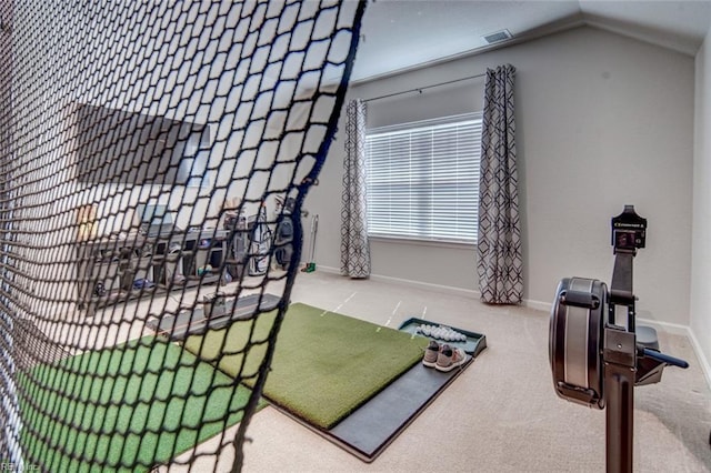 room details with carpet flooring, baseboards, and visible vents