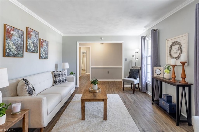 living area with wood finished floors, baseboards, and ornamental molding