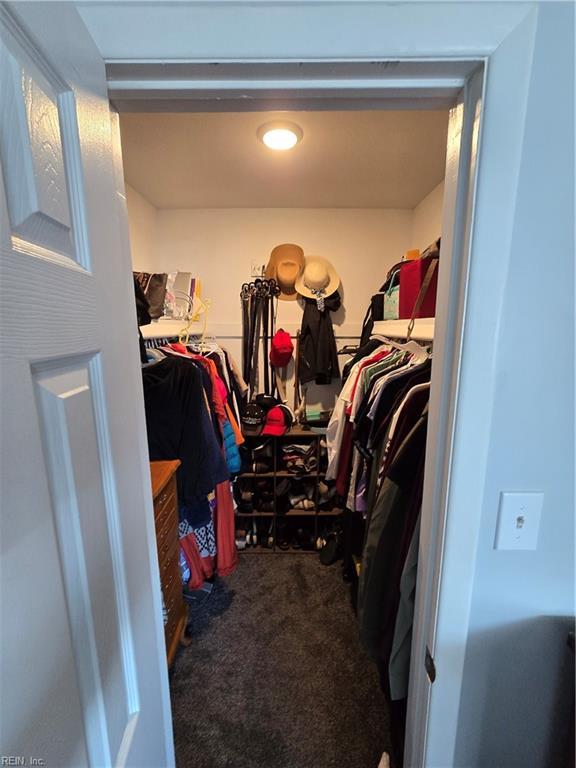 spacious closet with carpet