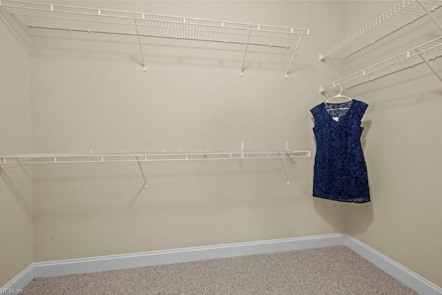 spacious closet with carpet flooring