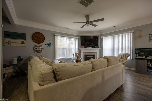 living area featuring visible vents, dark wood-style floors, a fireplace, crown molding, and ceiling fan