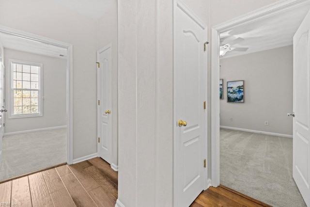 hallway with baseboards, carpet, and wood finished floors