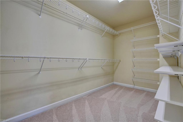 walk in closet with carpet floors