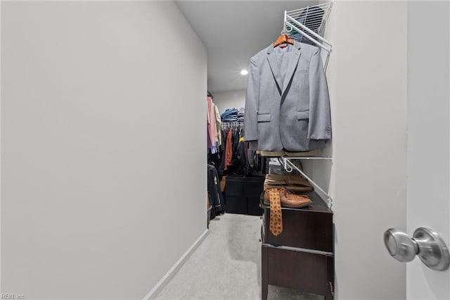 walk in closet featuring carpet flooring