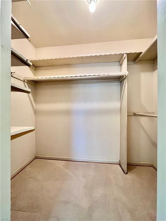 walk in closet featuring carpet floors