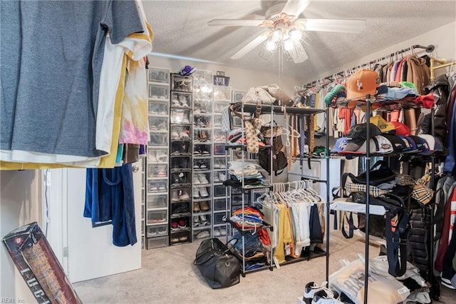 spacious closet with a ceiling fan and carpet floors