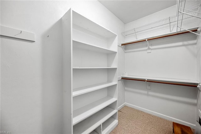 spacious closet with carpet