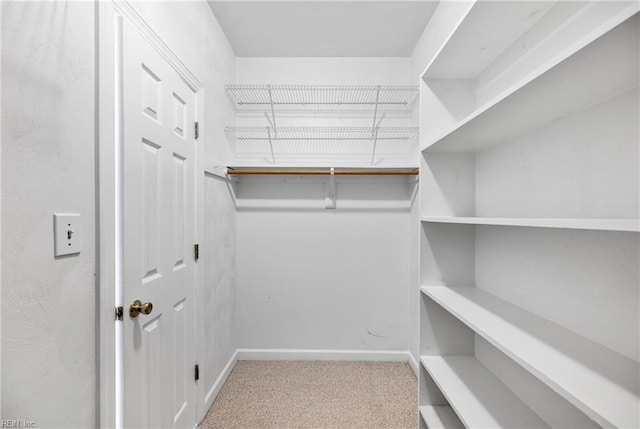 spacious closet featuring carpet flooring