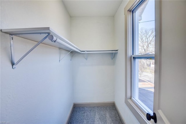 spacious closet with carpet