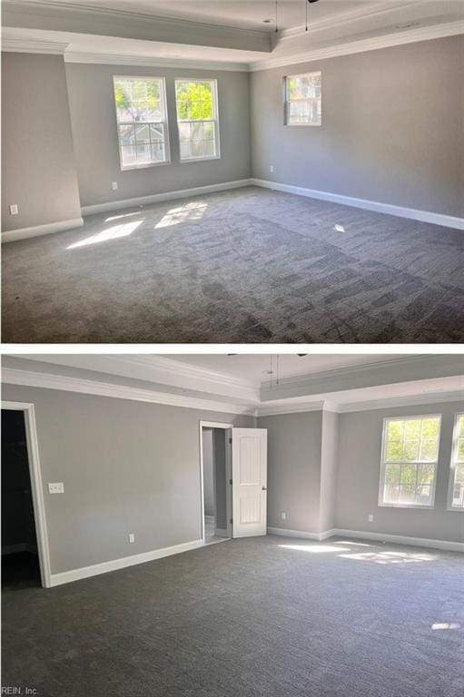 spare room featuring ornamental molding, baseboards, and carpet floors