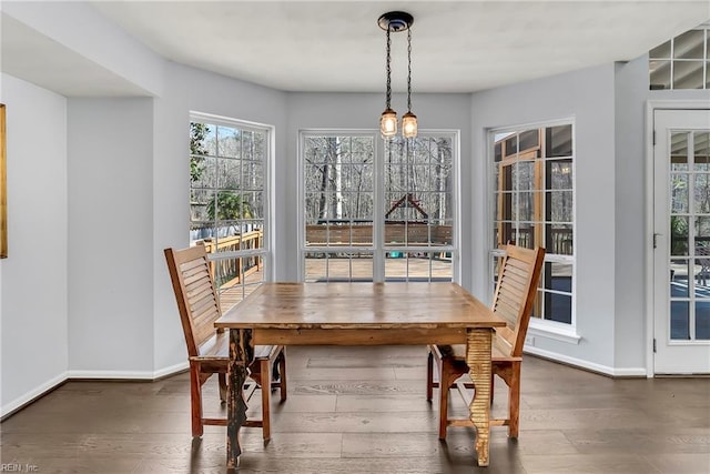 dining room featuring baseboards and wood finished floors