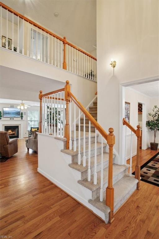 staircase with wood finished floors, a warm lit fireplace, a towering ceiling, and a ceiling fan