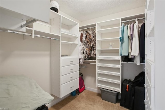 spacious closet with carpet floors