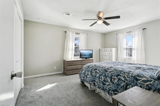 bedroom with multiple windows, carpet, and a textured ceiling