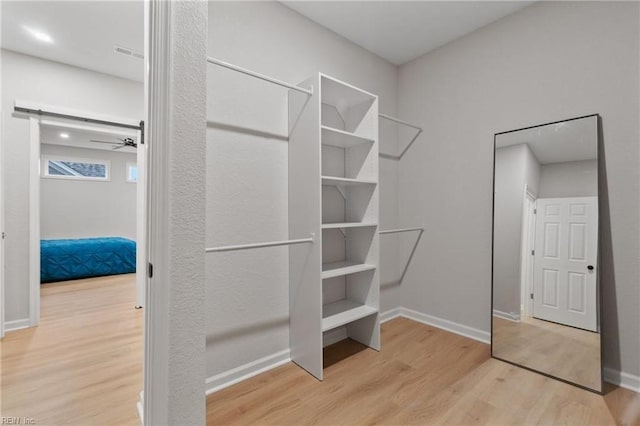 spacious closet with visible vents, a ceiling fan, a barn door, and wood finished floors