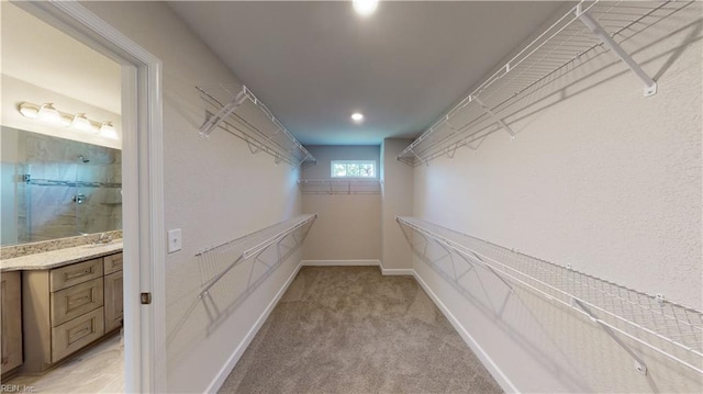 walk in closet with light colored carpet