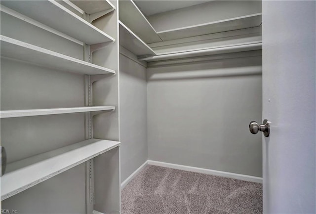 walk in closet with carpet