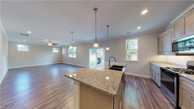 kitchen with wood finished floors, stainless steel appliances, crown molding, and a sink