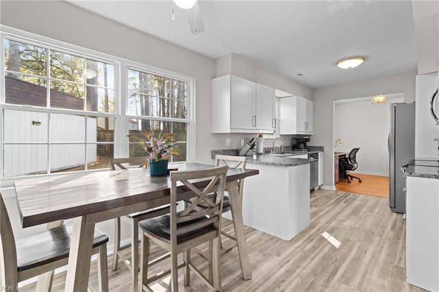 kitchen featuring a healthy amount of sunlight, appliances with stainless steel finishes, light wood-style floors, and a sink