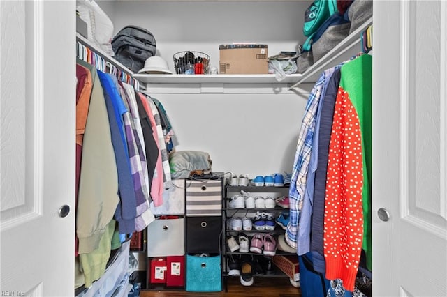 walk in closet featuring wood finished floors