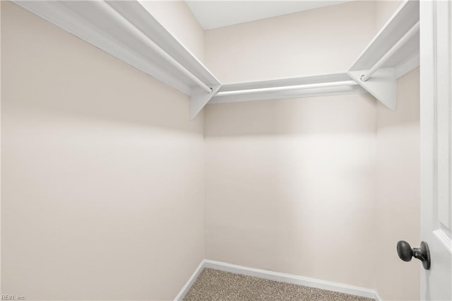 spacious closet with carpet