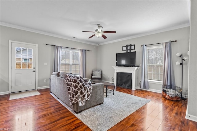 living room featuring dark wood finished floors, a wealth of natural light, ceiling fan, and ornamental molding