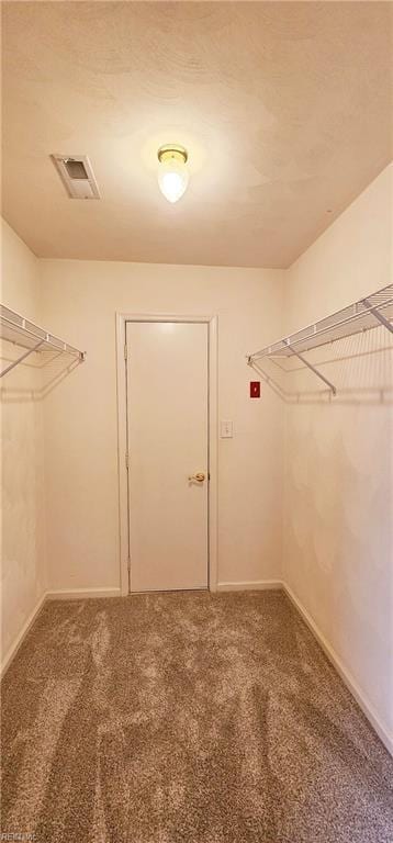 spacious closet with visible vents and carpet floors