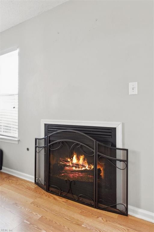 details featuring baseboards, a lit fireplace, and wood finished floors