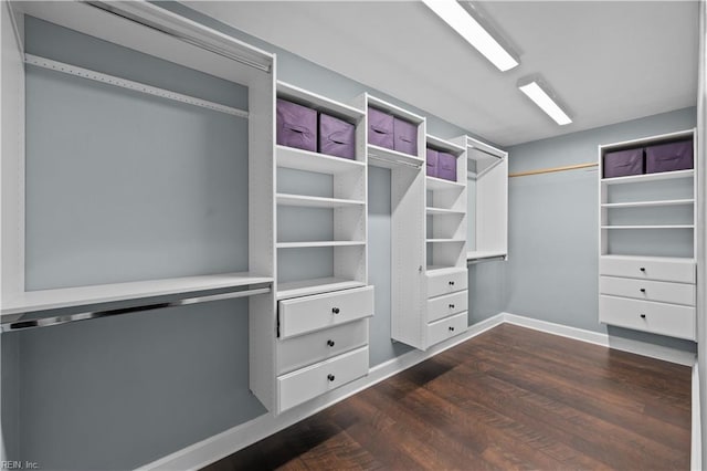 walk in closet with dark wood finished floors