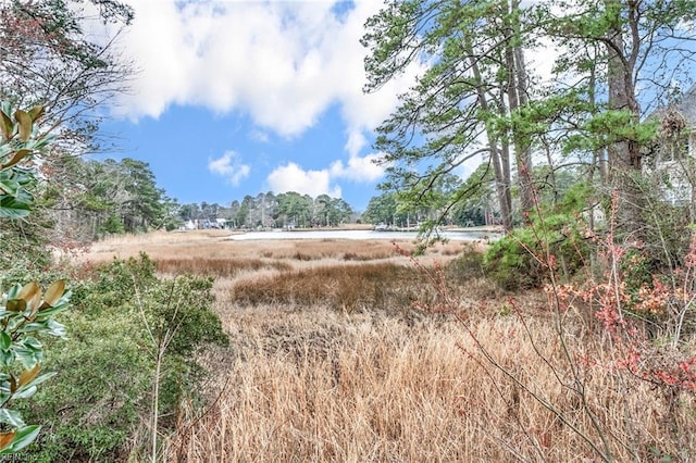 view of local wilderness with a water view