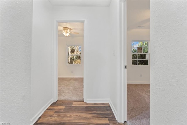 hall with dark wood-type flooring, a healthy amount of sunlight, baseboards, and a textured wall