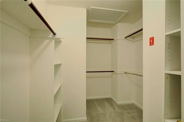 walk in closet with carpet flooring