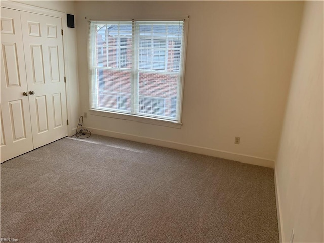 interior space featuring baseboards, multiple windows, carpet, and a closet