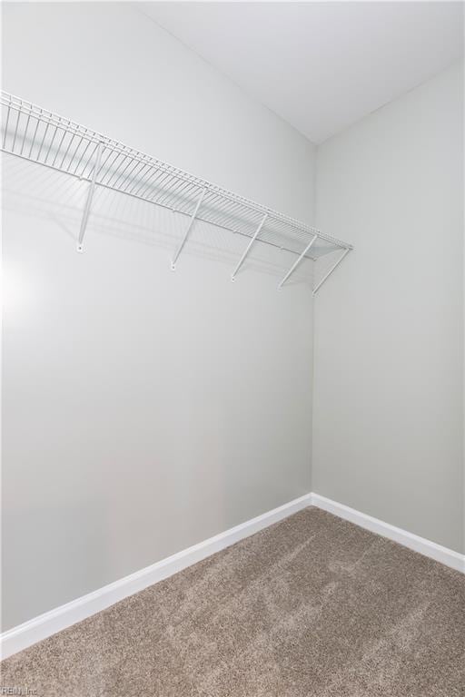 walk in closet featuring carpet flooring