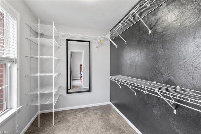 spacious closet with carpet floors