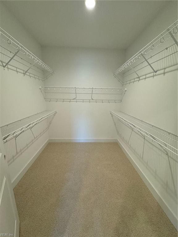 walk in closet with light colored carpet