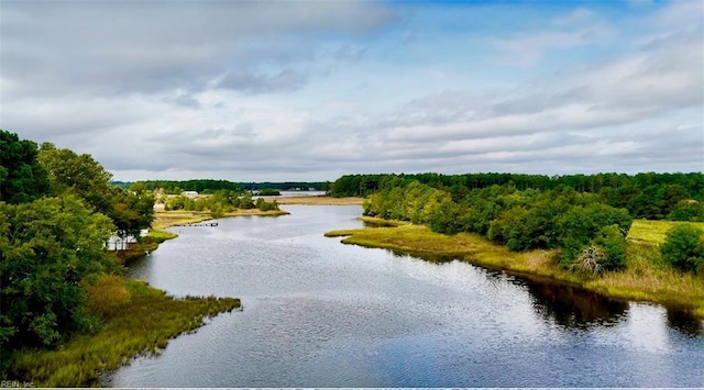 property view of water with a view of trees