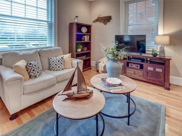 living area featuring baseboards and wood finished floors