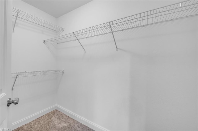 spacious closet featuring carpet flooring