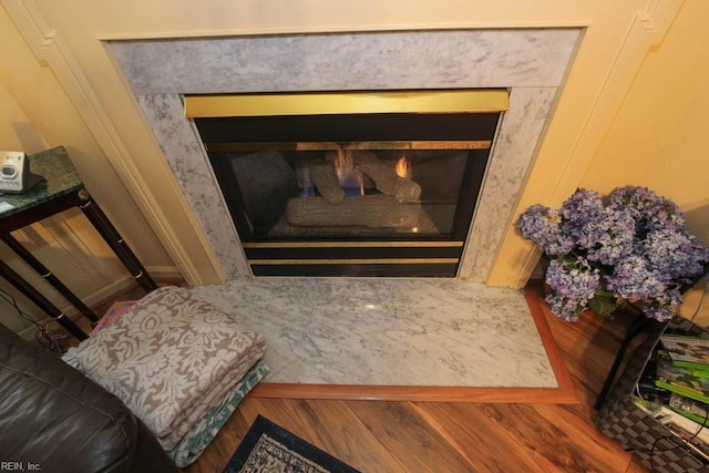 room details featuring wood finished floors and a premium fireplace