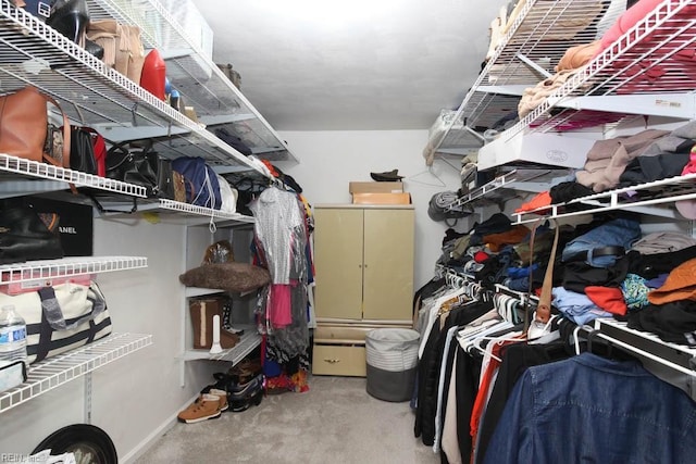 view of spacious closet