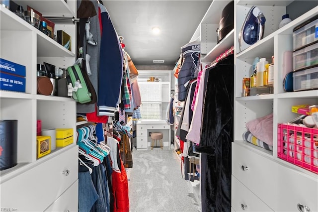 spacious closet featuring carpet