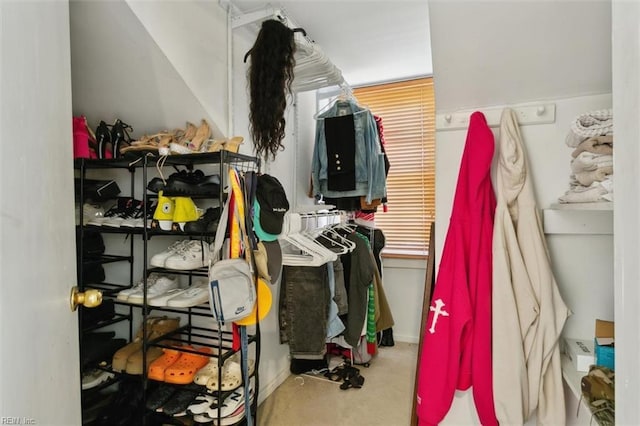 view of spacious closet